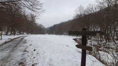 Teljesítménytúrák :: Pilisi csapás :: 20260124_083047.jpg :: 