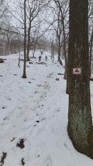 Teljesítménytúrák :: Pilisi csapás :: 20260124_091847.jpg :: 