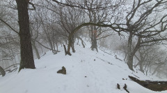 Teljesítménytúrák :: Pilisi csapás :: 20260124_092616.jpg :: 