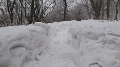 Teljesítménytúrák :: Pilisi csapás :: 20260124_094324.jpg :: 