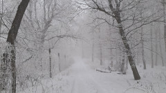 Teljesítménytúrák :: Pilisi csapás :: 20260124_101952.jpg :: 