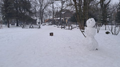 Teljesítménytúrák :: Pilisi csapás :: 20260124_161709.jpg :: 