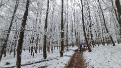 Teljesítménytúrák :: Szombati kétműszakos :: 20260131_092549.jpg :: 