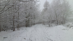 Teljesítménytúrák :: Szombati kétműszakos :: 20260131_112042.jpg :: 