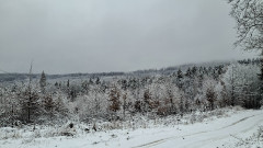 Teljesítménytúrák :: Szombati kétműszakos :: 20260131_115728.jpg :: 