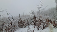 Teljesítménytúrák :: Szombati kétműszakos :: 20260131_123201.jpg :: 