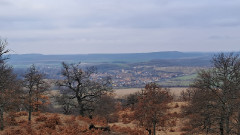 Teljesítménytúrák :: Bükkihűlsz! :: 20260207_111042.jpg :: 