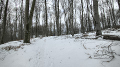 Teljesítménytúrák :: Kiss Péter emléktúra :: IMG_20260221_083424705_HDR.jpg :: 