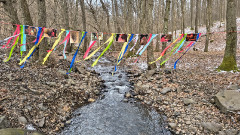 Teljesítménytúrák :: Kiss Péter emléktúra :: IMG_20260221_140018257_HDR.jpg :: 