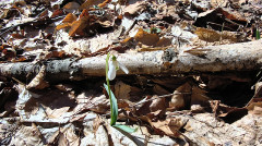 Teljesítménytúrák :: Bükki Kilátások :: IMG_20260307_105009141_HDR.jpg :: 
