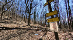 Teljesítménytúrák :: Bükki Kilátások :: IMG_20260307_111130989_HDR.jpg :: 