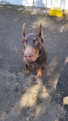 Teljesítménytúrák :: Bükki Kilátások :: IMG_20260307_124016554.jpg :: 