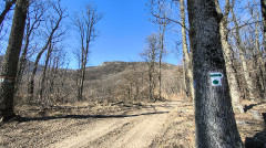 Teljesítménytúrák :: Bükki Kilátások :: IMG_20260307_133727076_HDR.jpg :: 