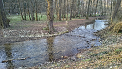 Teljesítménytúrák :: Népek Tavasza :: IMG_20260315_065919478_HDR.jpg :: 