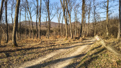 Teljesítménytúrák :: Népek Tavasza :: IMG_20260315_072456145_HDR.jpg :: 