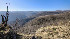 Teljesítménytúrák :: Népek Tavasza :: IMG_20260315_090616195_HDR.jpg :: 