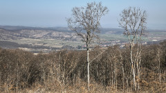 Teljesítménytúrák :: Népek Tavasza :: IMG_20260315_104032460_HDR.jpg :: 