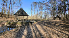 Teljesítménytúrák :: Népek Tavasza :: IMG_20260315_105020783_HDR.jpg :: 