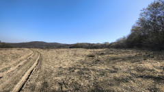 Teljesítménytúrák :: Népek Tavasza :: IMG_20260315_112514438_HDR.jpg :: 