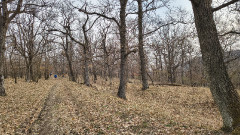 Teljesítménytúrák :: Mátrahegy 40 :: IMG_20260321_074809516_HDR.jpg :: 