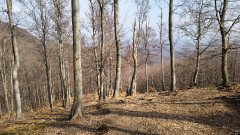 Teljesítménytúrák :: Mátrahegy 40 :: IMG_20260321_101130330.jpg :: 