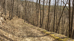 Teljesítménytúrák :: Mátrahegy 40 :: IMG_20260321_112349382_HDR.jpg :: 