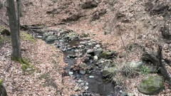 Teljesítménytúrák :: Mátrahegy 40 :: _VID_20260321_120915371.mp4 :: 