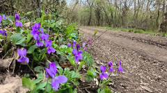 Teljesítménytúrák :: Iszkiri 72... helyett 65 :: IMG_20260328_151943379.jpg :: 