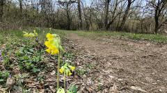 Teljesítménytúrák :: Iszkiri 72... helyett 65 :: IMG_20260328_152414736_HDR.jpg :: 
