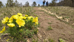 Teljesítménytúrák :: Vérkör teljesítménytúra :: IMG_20260404_122501620.jpg :: 