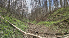 Teljesítménytúrák :: Vérkör teljesítménytúra :: IMG_20260404_164322639_HDR.jpg :: 