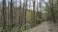 Teljesítménytúrák :: Hanák Kolos teljesítménytúra :: IMG_20260411_131506469.jpg :: 