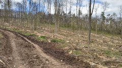 Teljesítménytúrák :: Hanák Kolos teljesítménytúra :: IMG_20260411_141957527_HDR.jpg :: 