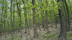 Teljesítménytúrák :: Zemplén tavaszi teljesítménytúra :: IMG_20260425_072103748_HDR.jpg :: 