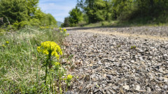 Teljesítménytúrák :: Zemplén tavaszi teljesítménytúra :: IMG_20260425_121055850_HDR.jpg :: 