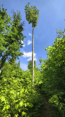 Teljesítménytúrák :: Zemplén tavaszi teljesítménytúra :: IMG_20260425_132729203_HDR.jpg :: 