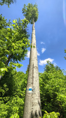 Teljesítménytúrák :: Zemplén tavaszi teljesítménytúra :: IMG_20260425_132743707_HDR.jpg :: 