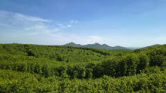 Teljesítménytúrák :: Zemplén tavaszi teljesítménytúra :: IMG_20260425_134407388_HDR.jpg :: 