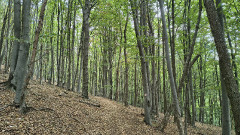 Teljesítménytúrák :: Eger Csillaga :: IMG_20260905_090436116_HDR.jpg :: 