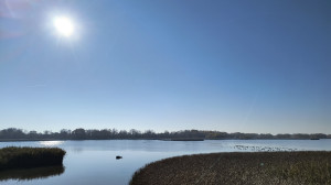 Bringatúrák :: Tisza-tó kör :: Tisza-tó kör